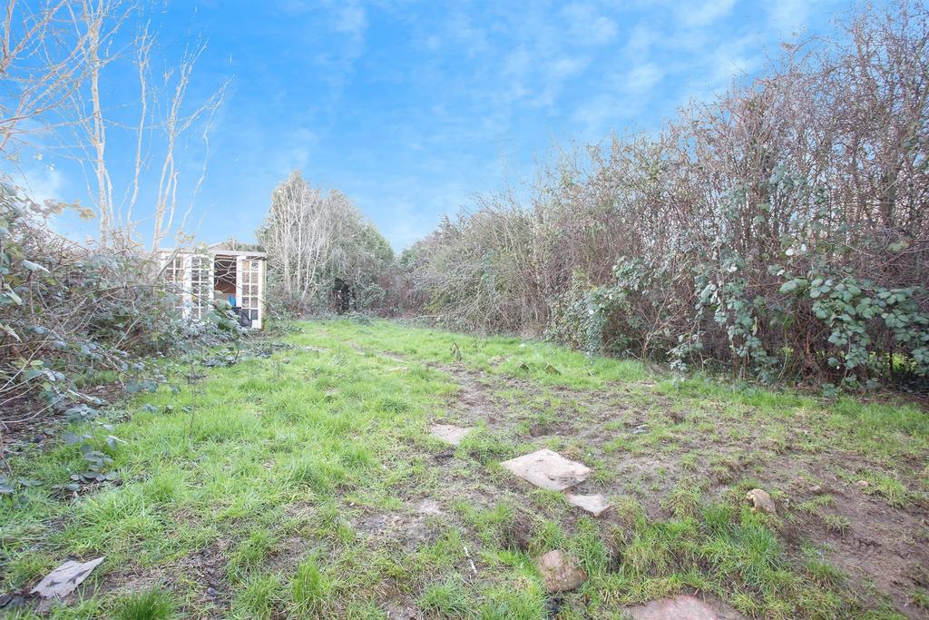 Garden view, garden