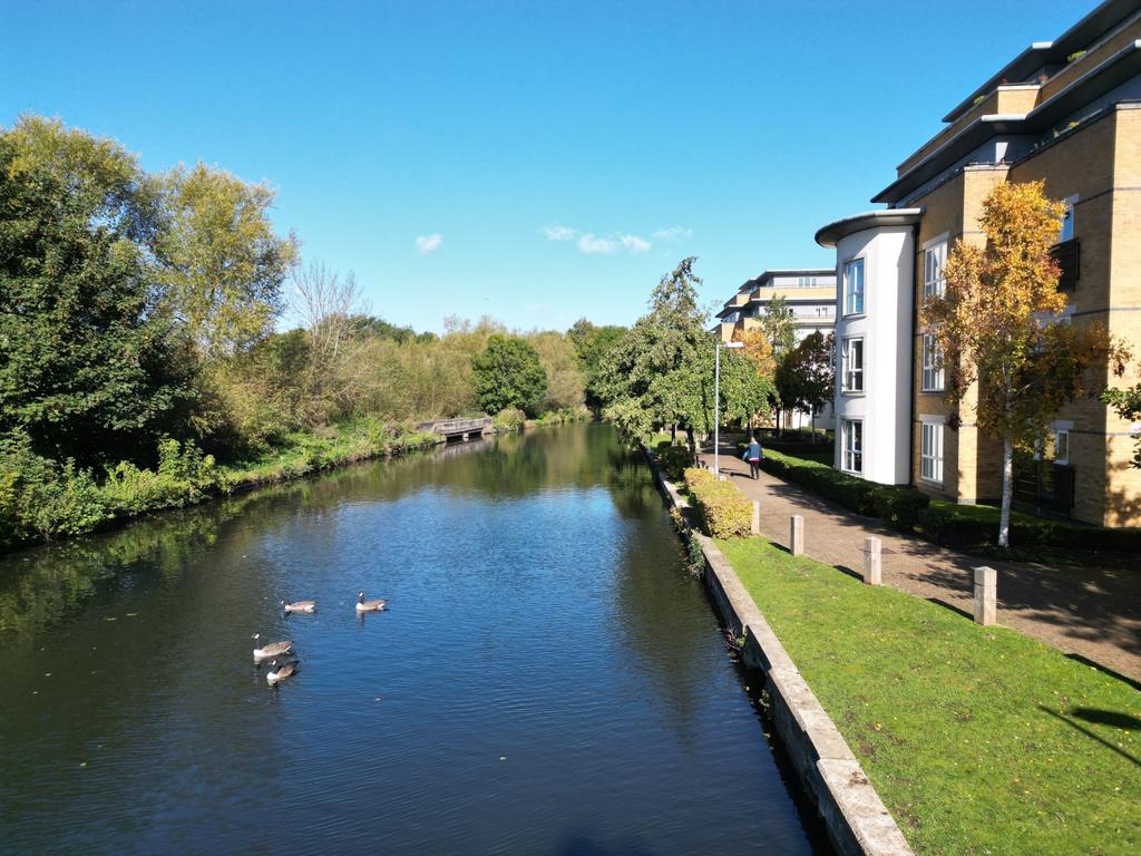 Rear Aspect of Canal