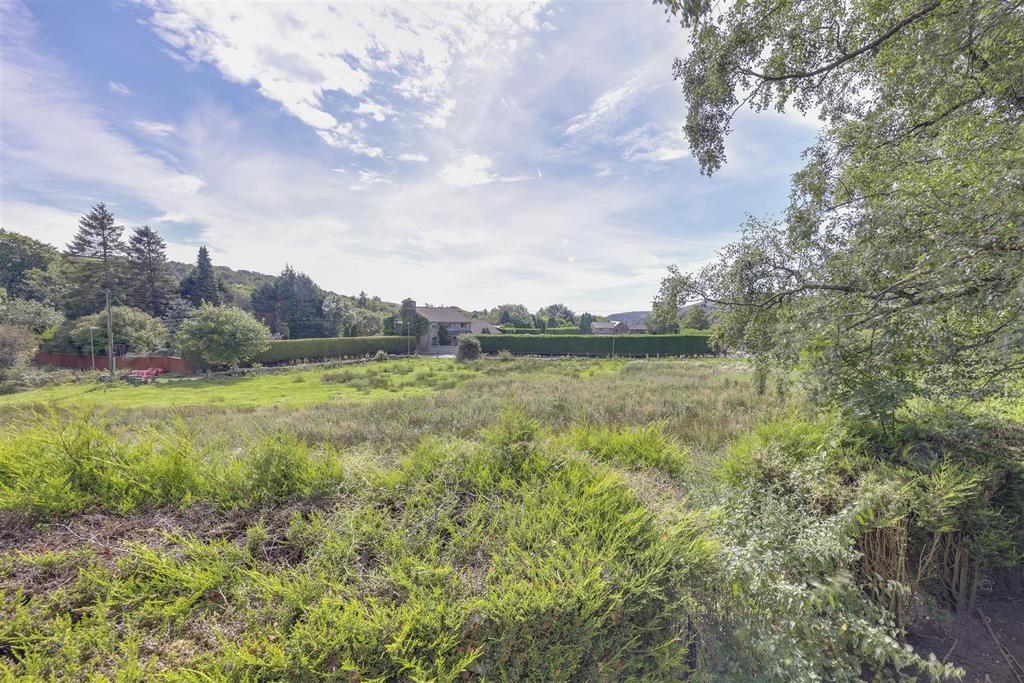 View from Garden