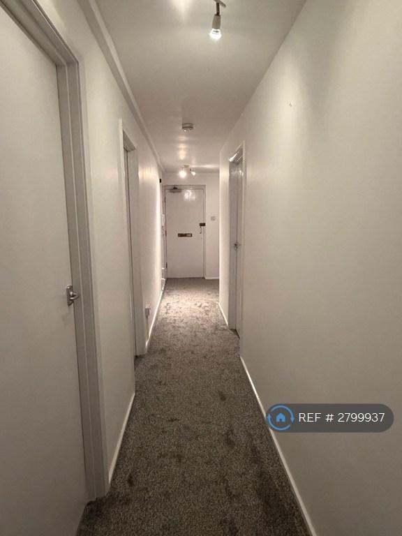 Hallway - South Facing