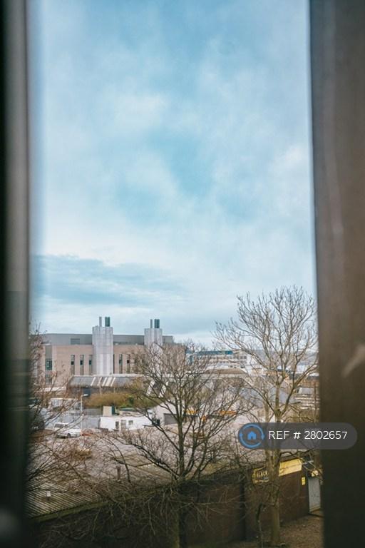 View From Window-1