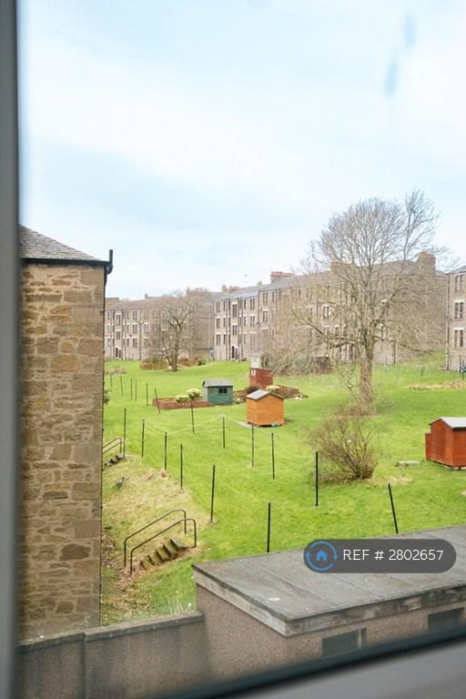 View Of Garden