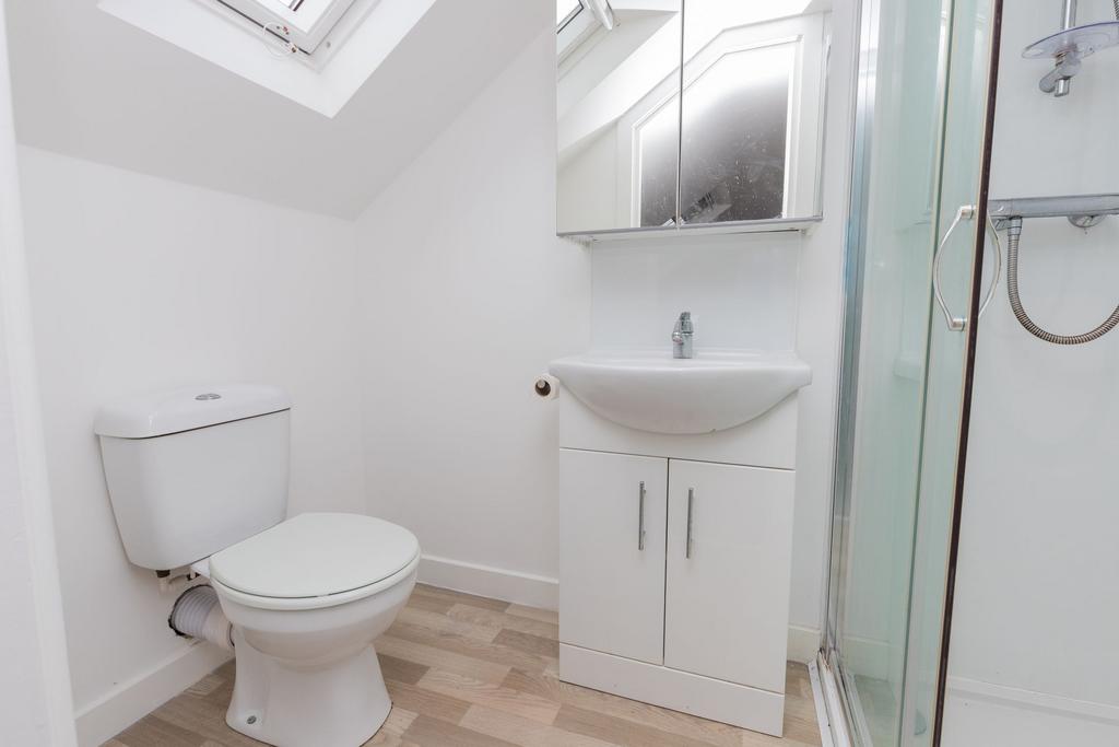 Attic Shower Room