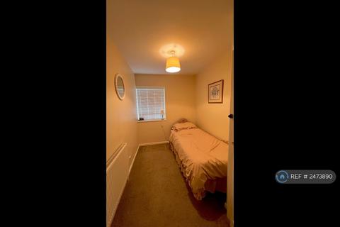 3 bedroom semi-detached house to rent, Stalin Road, Colchester, CO2