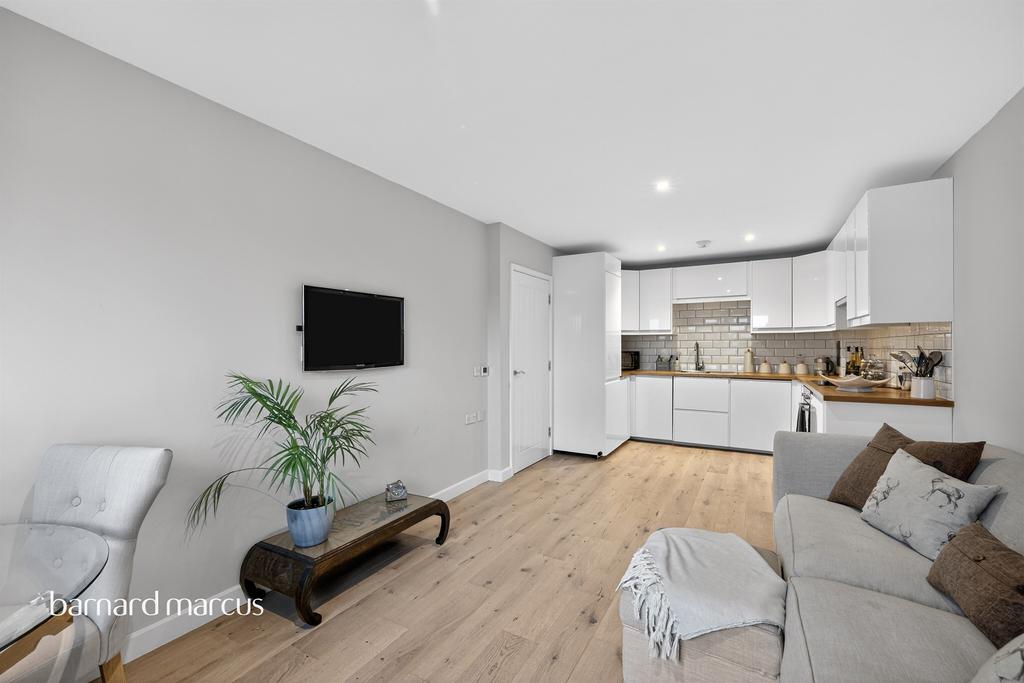 Living Room/ Dining/ Kitchen