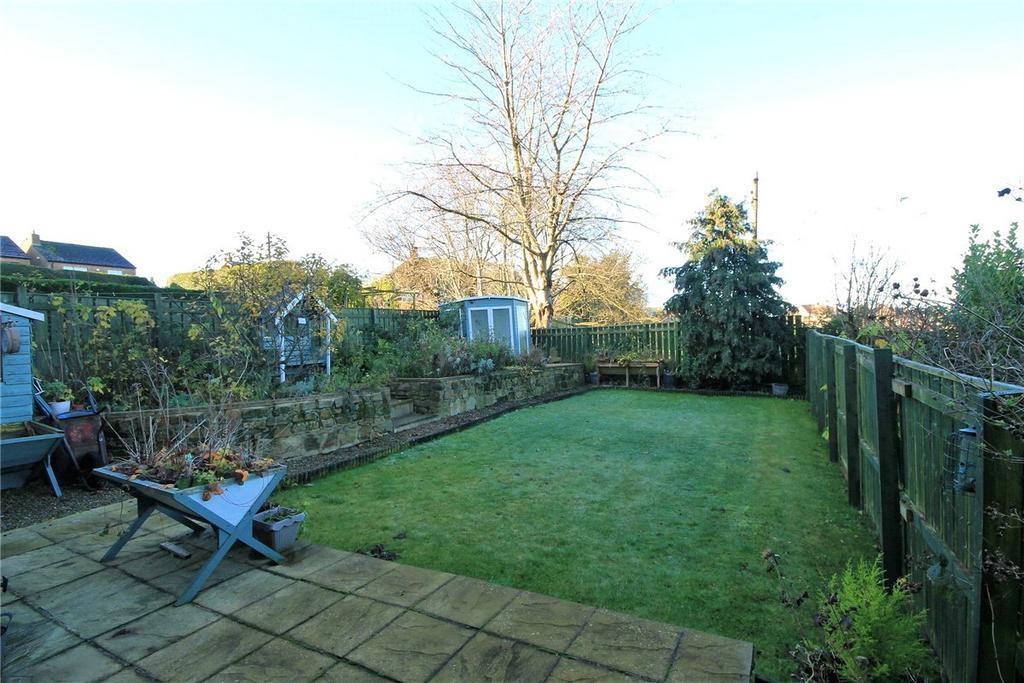 Garden Pic 1