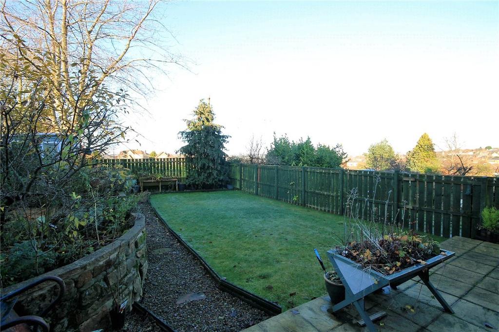 Garden Pic 3