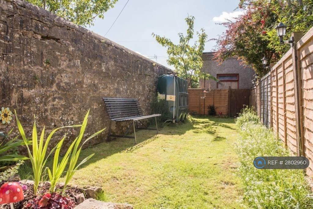 Back Garden