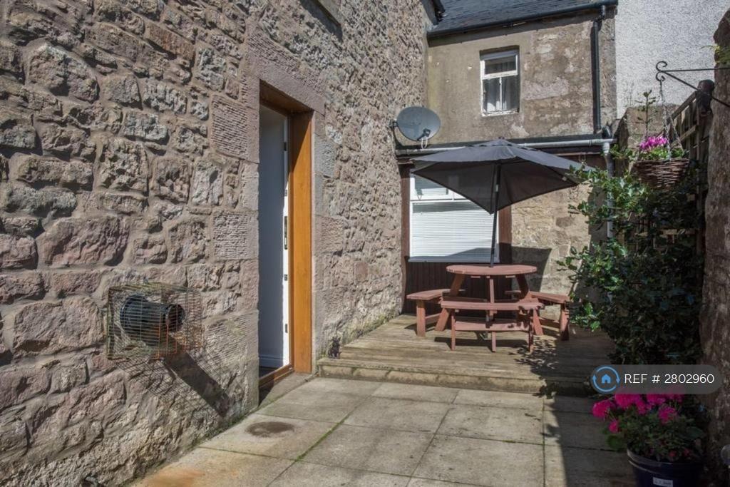 Back Garden