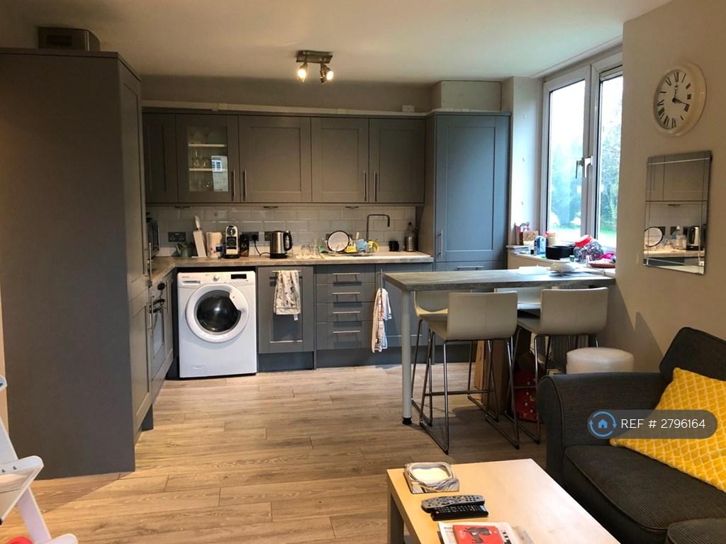 Spacious Living Room With Kitchen