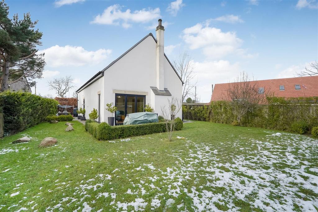 DSC00874.jpg