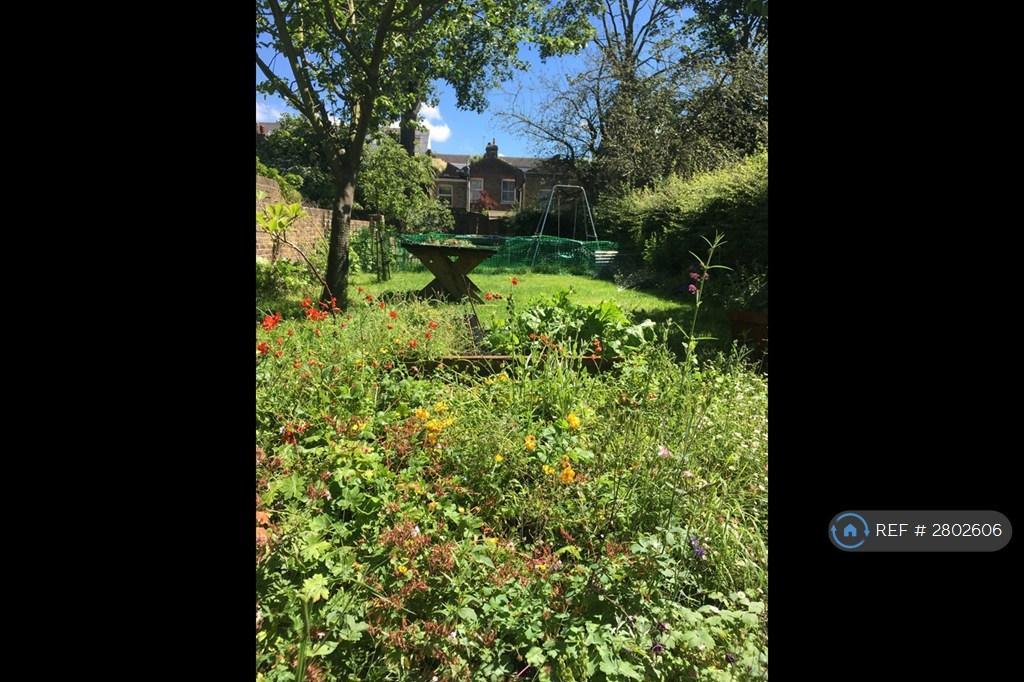 Back Garden Which Is Shared With Main House