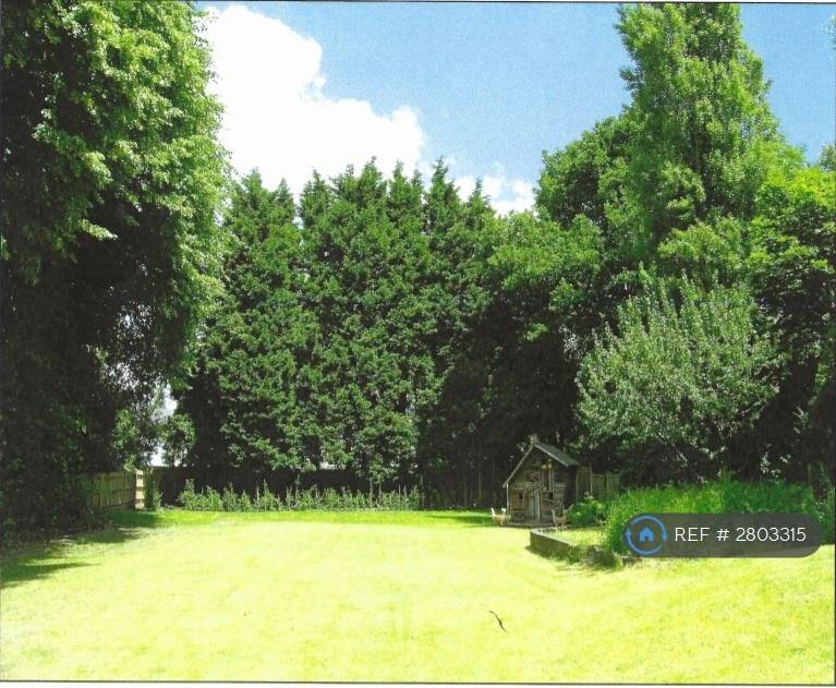 Rear Garden View From The House