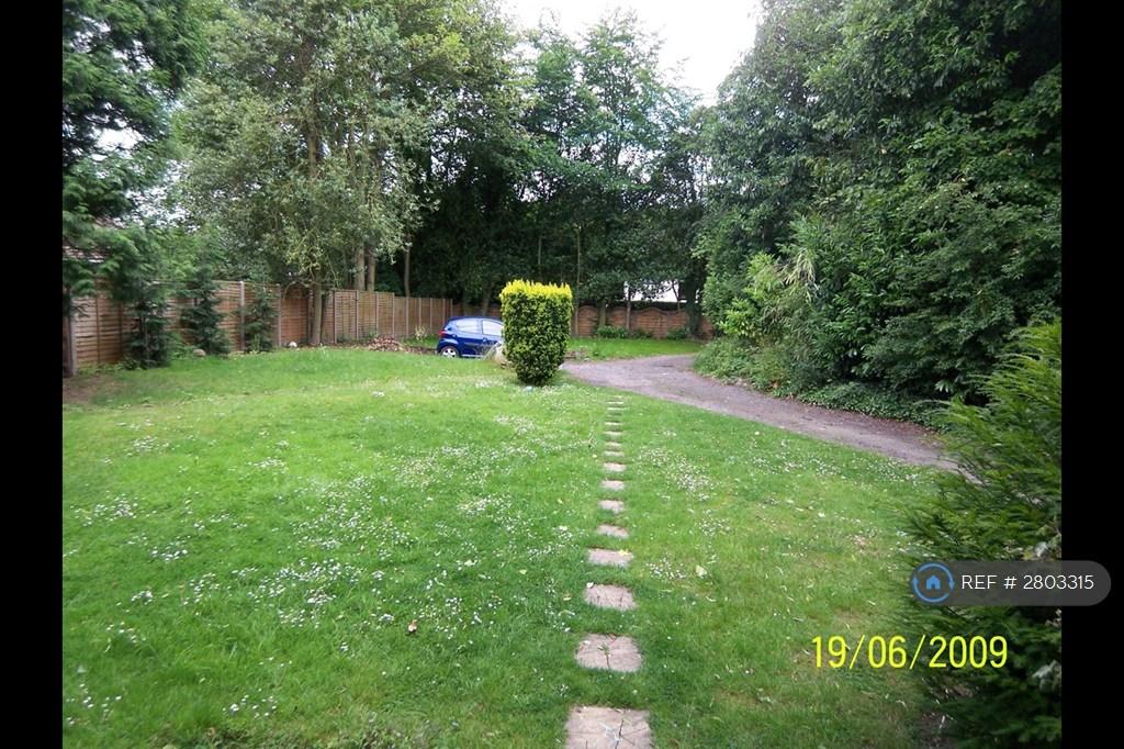 Front Garden View From The House