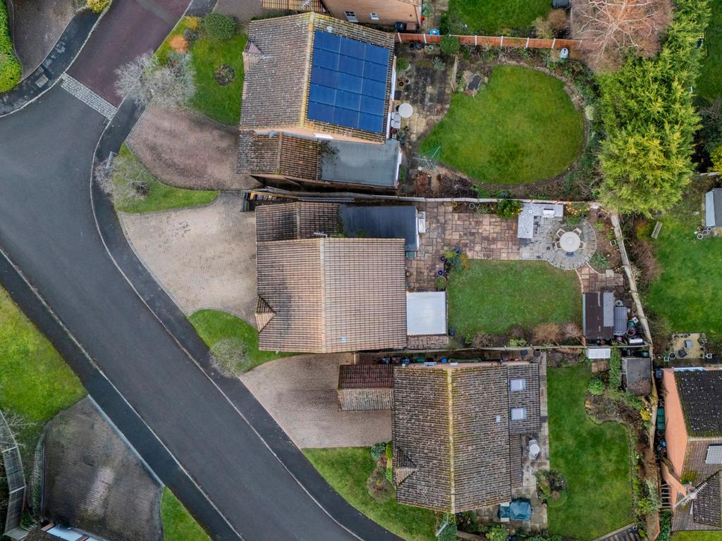 Plot View