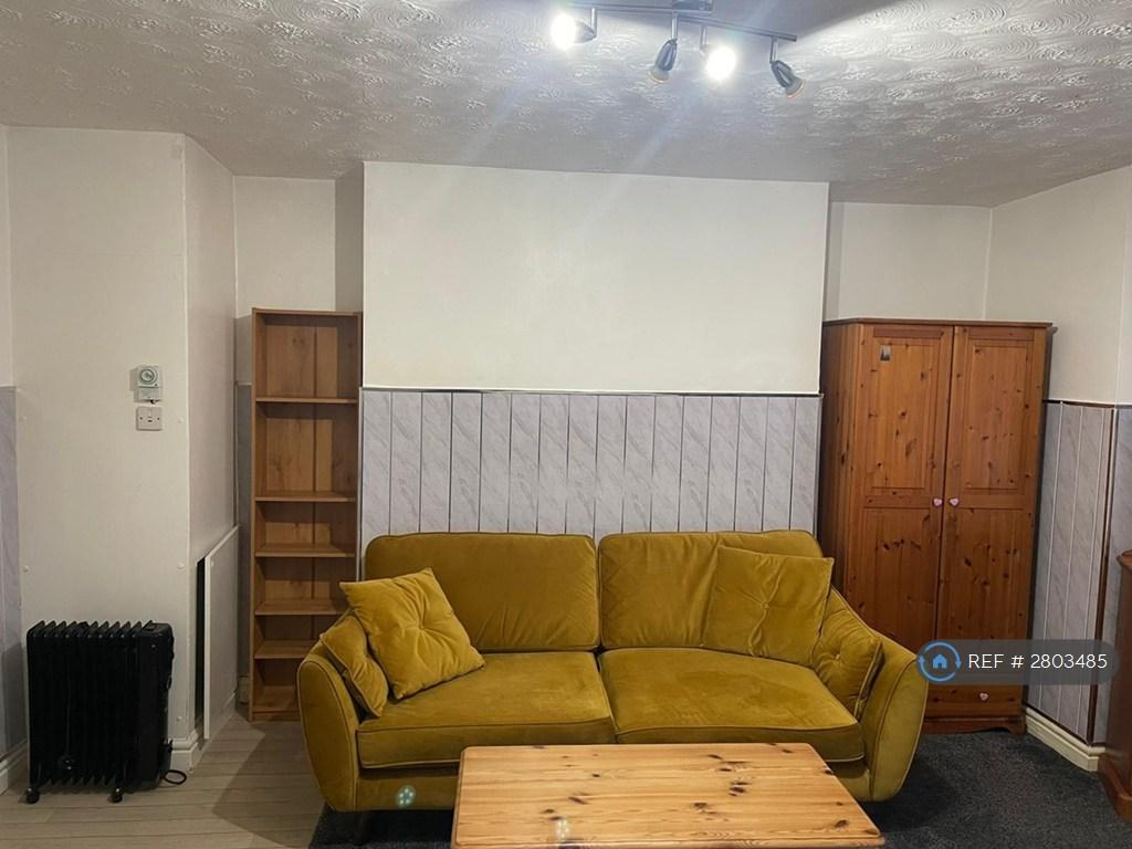 Living-Room / Bedroom