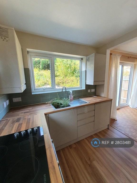 Kitchen View