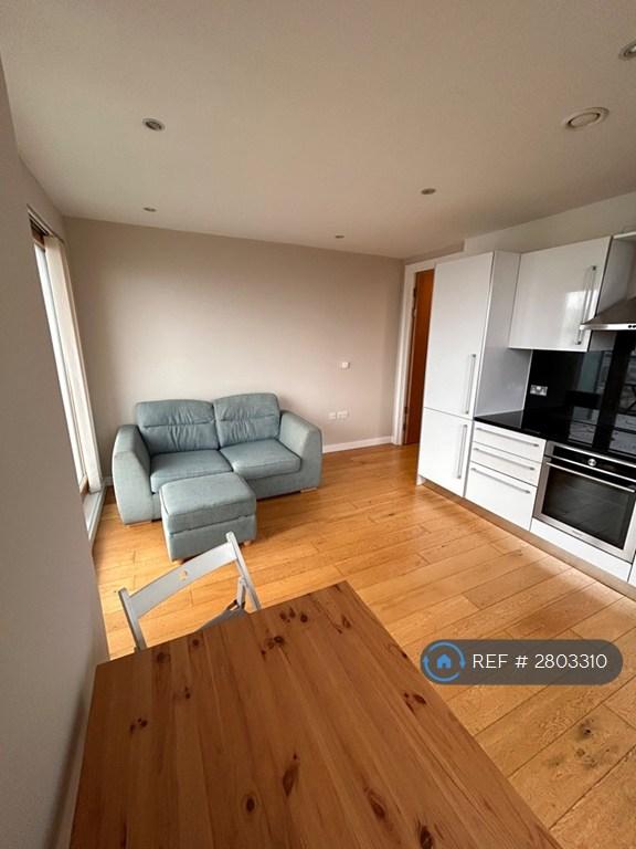 Living Room / Kitchen