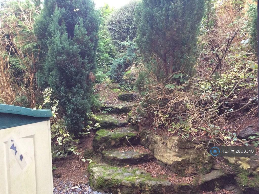 Rear Terraced Garden 1/2
