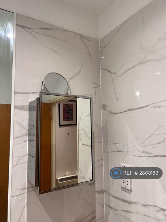 Renovated Bathroom (Alternate View 4)