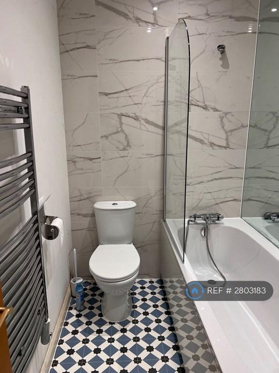 Renovated Bathroom (Alternate View 1)