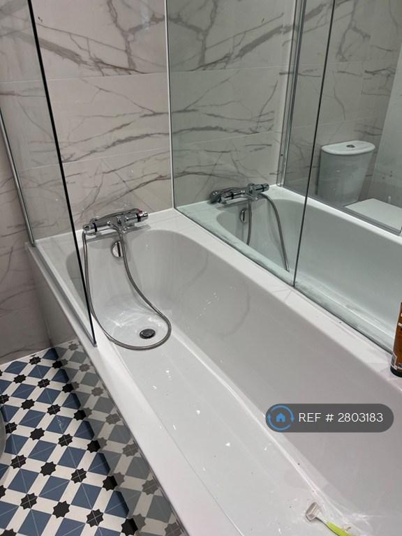 Renovated Bathroom (Alternate View 2)