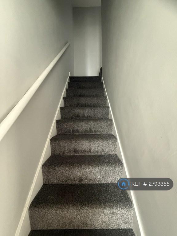 Stairs - New Carpet