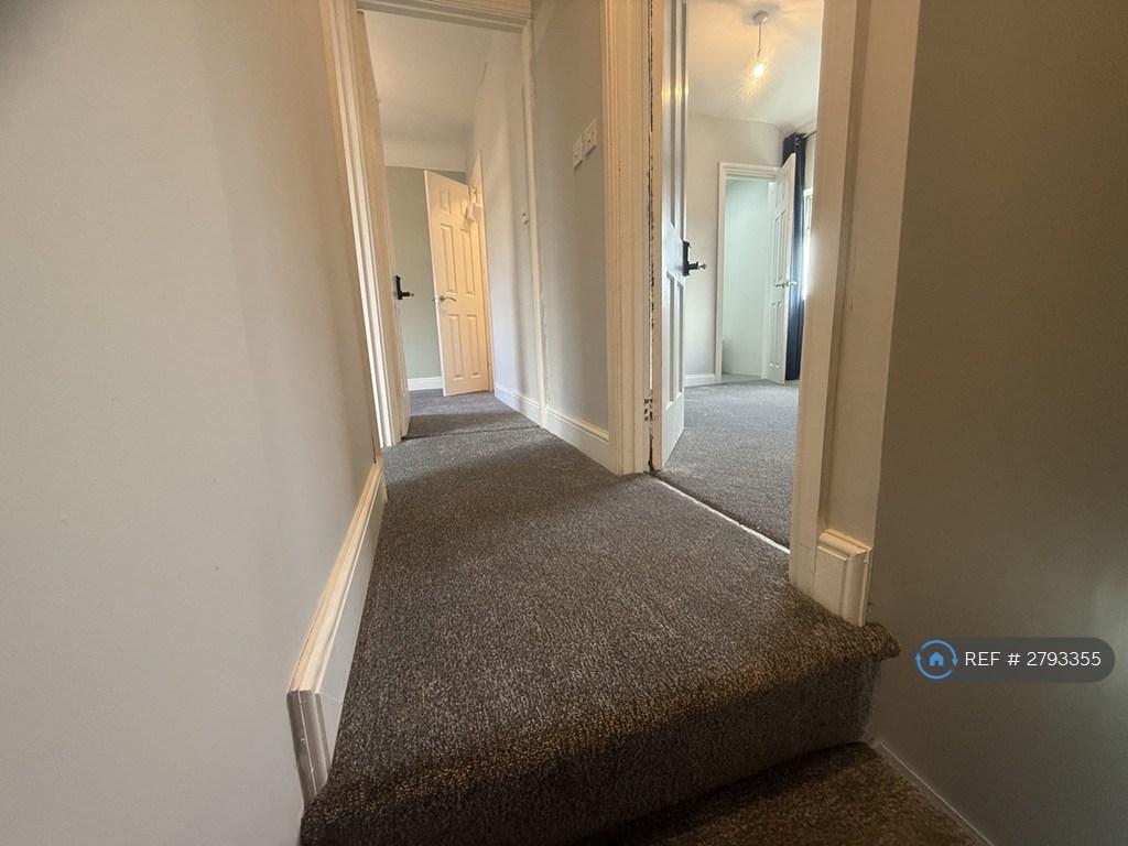 Stairs - New Carpet