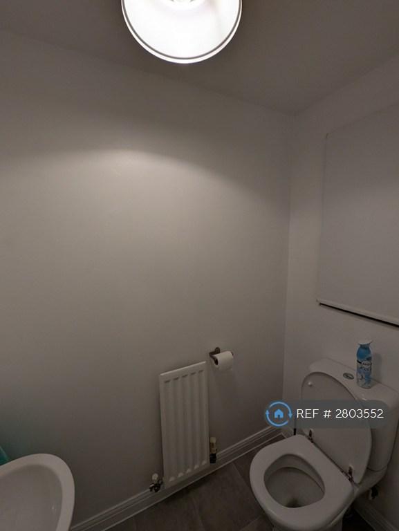 Downstairs Bathroom