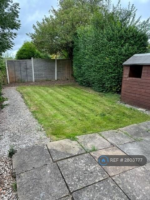 Back Garden