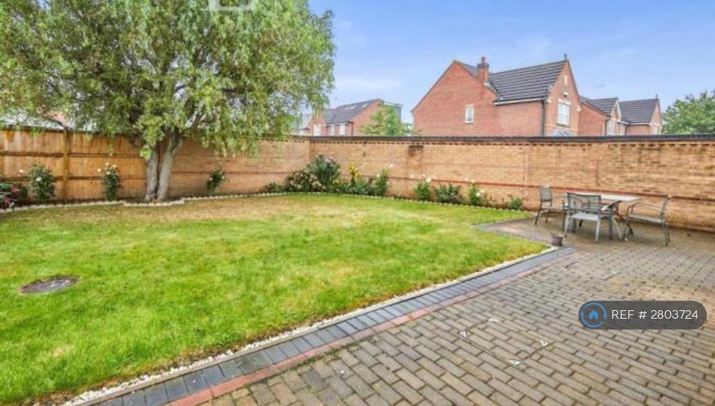 Back Garden