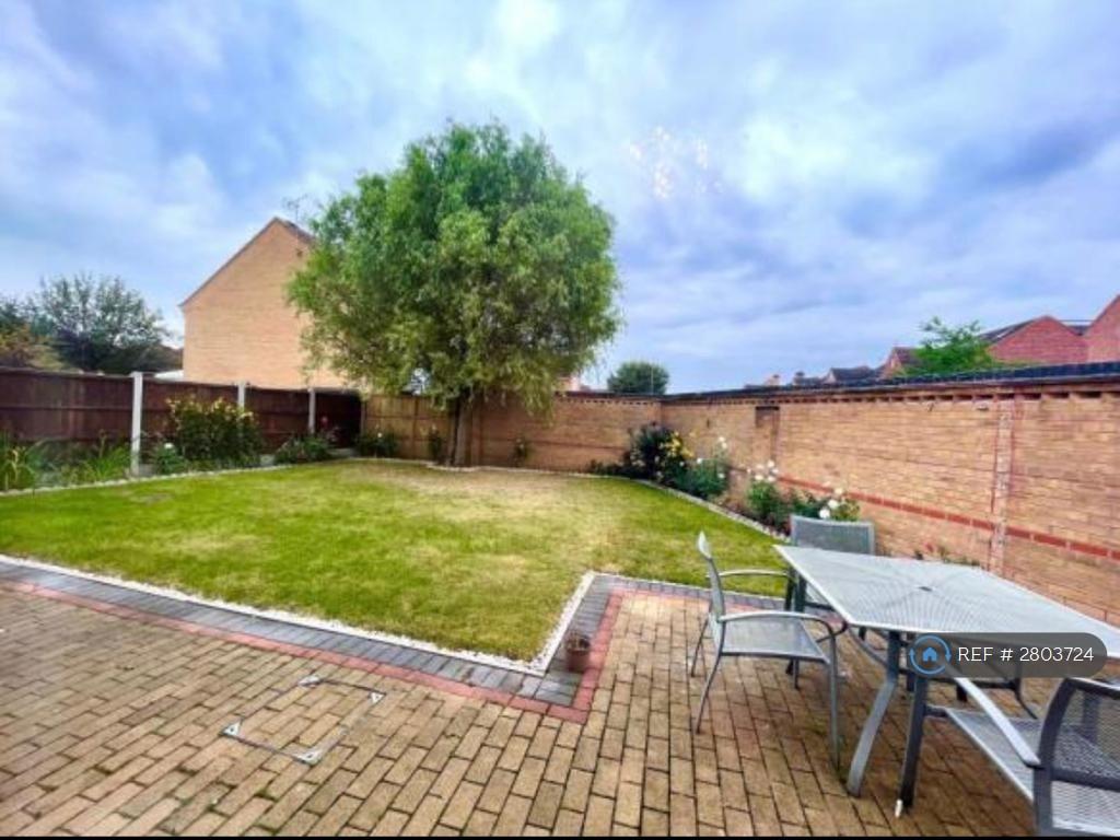 Back Garden