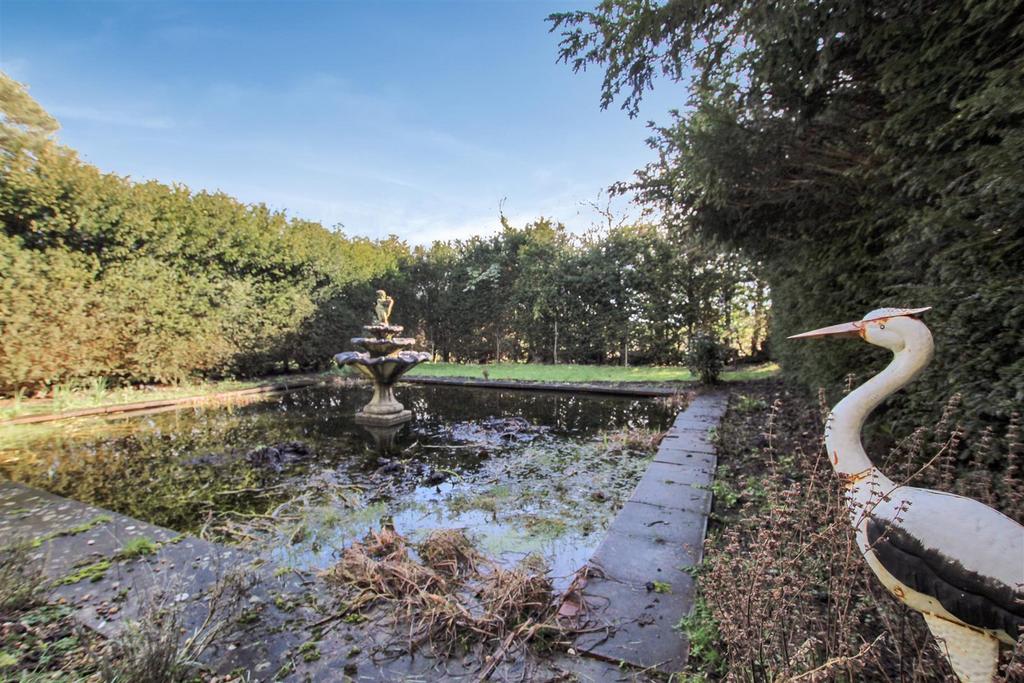 Pond.JPG
