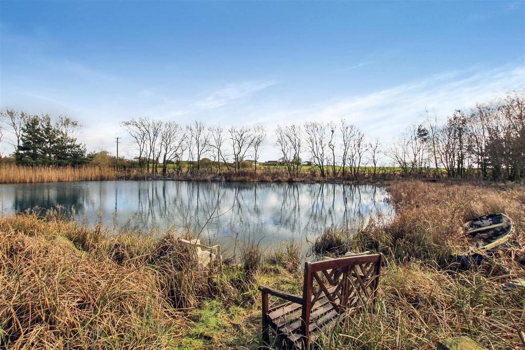 Carp Pond - b.JPG