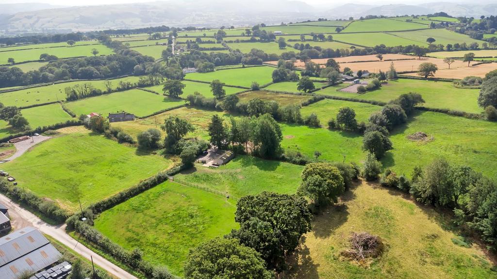 DJI 0389.jpg