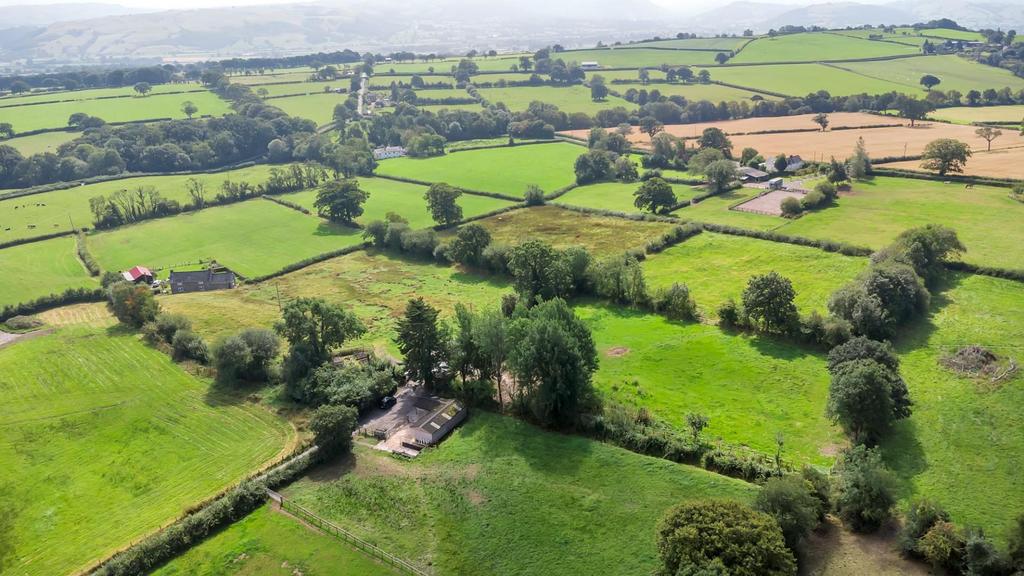 DJI 0390.jpg