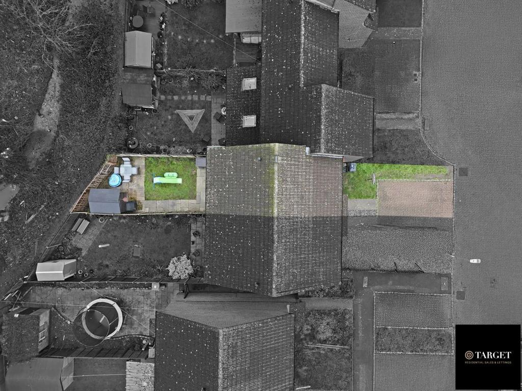 Dji 20260205145127 0013 d - copy.jpg