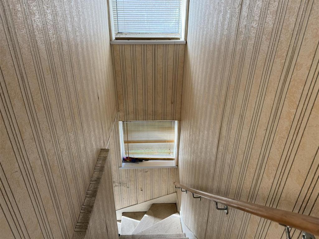 IMG 8340.jpeg