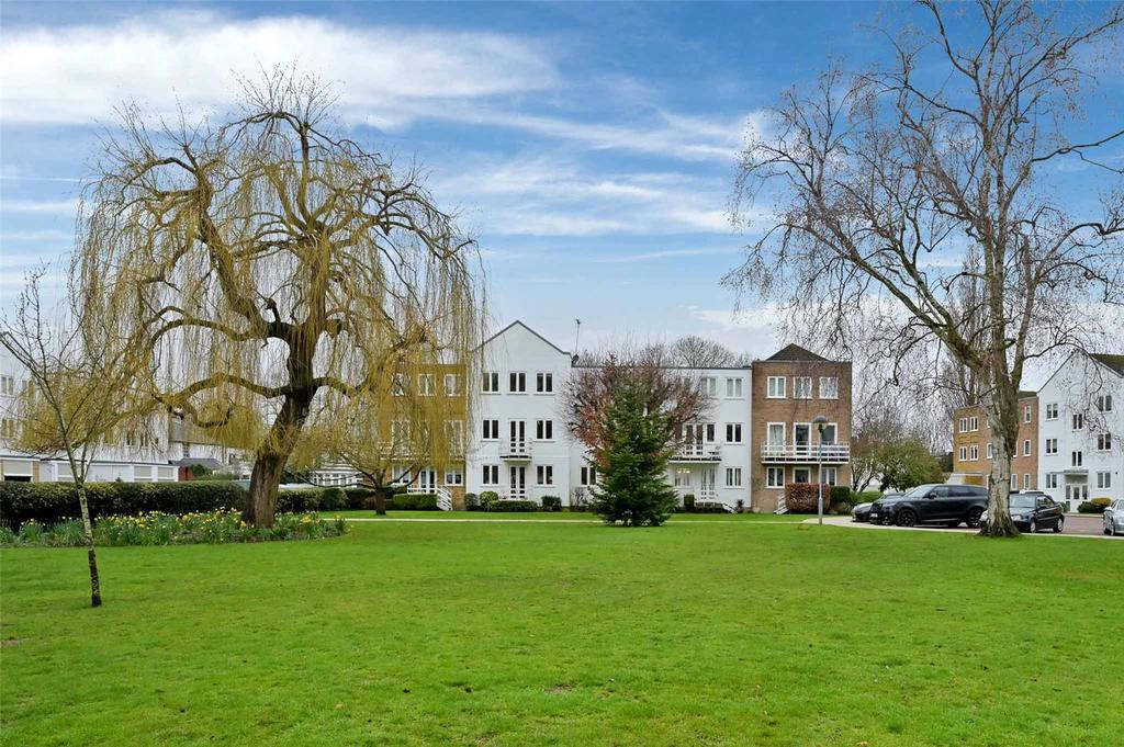 Rear Of Property