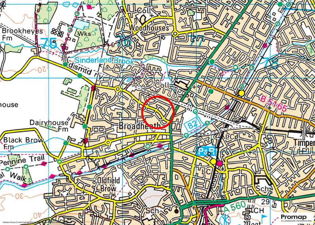 Town Plan