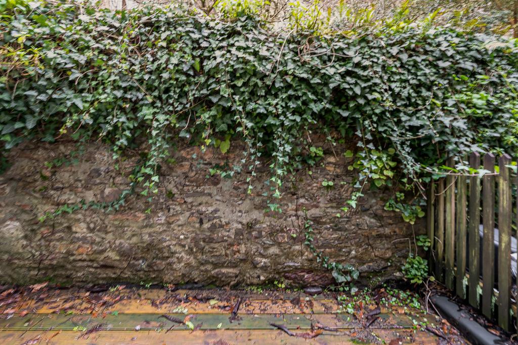 15 Rear Courtyard.JPG