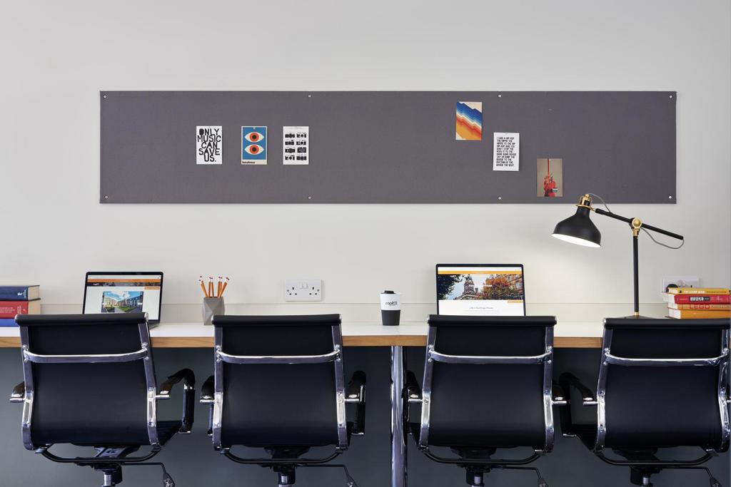 Study Area