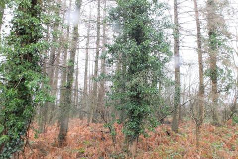 undefined, Acton Coppice, Tedstone Wafre, Bromyard