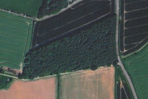 undefined, Acton Coppice, Tedstone Wafre, Bromyard