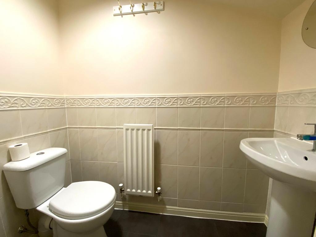 Picture 7