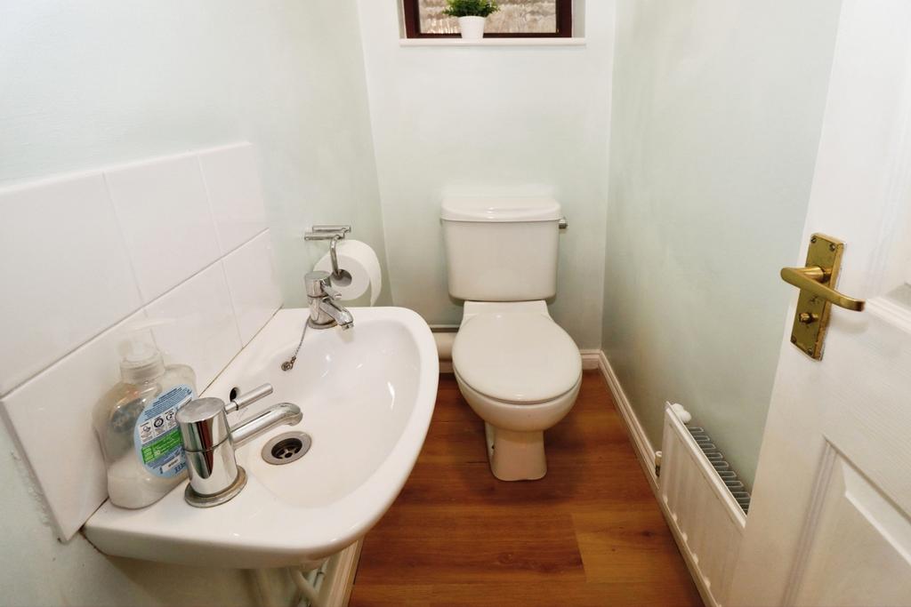 Picture 19