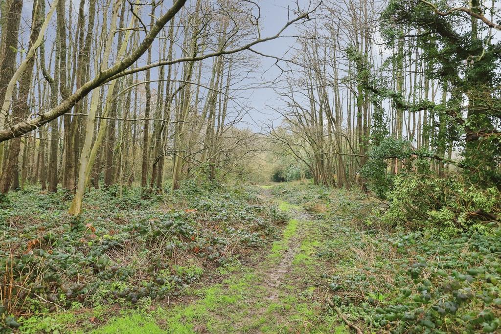 Woodland Front Views