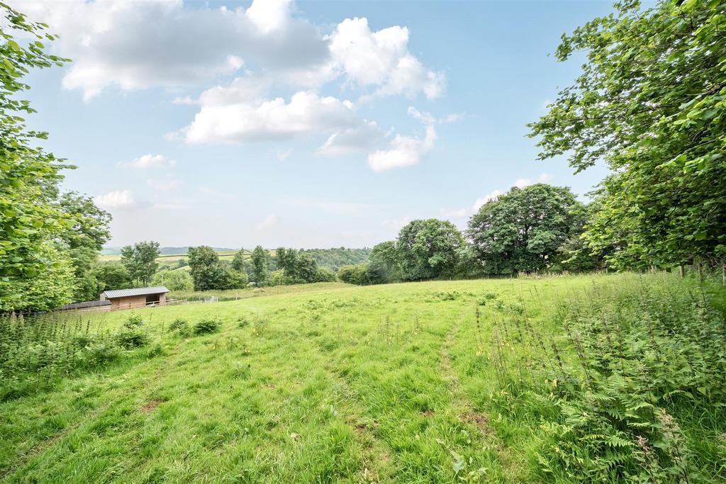 Lower Field