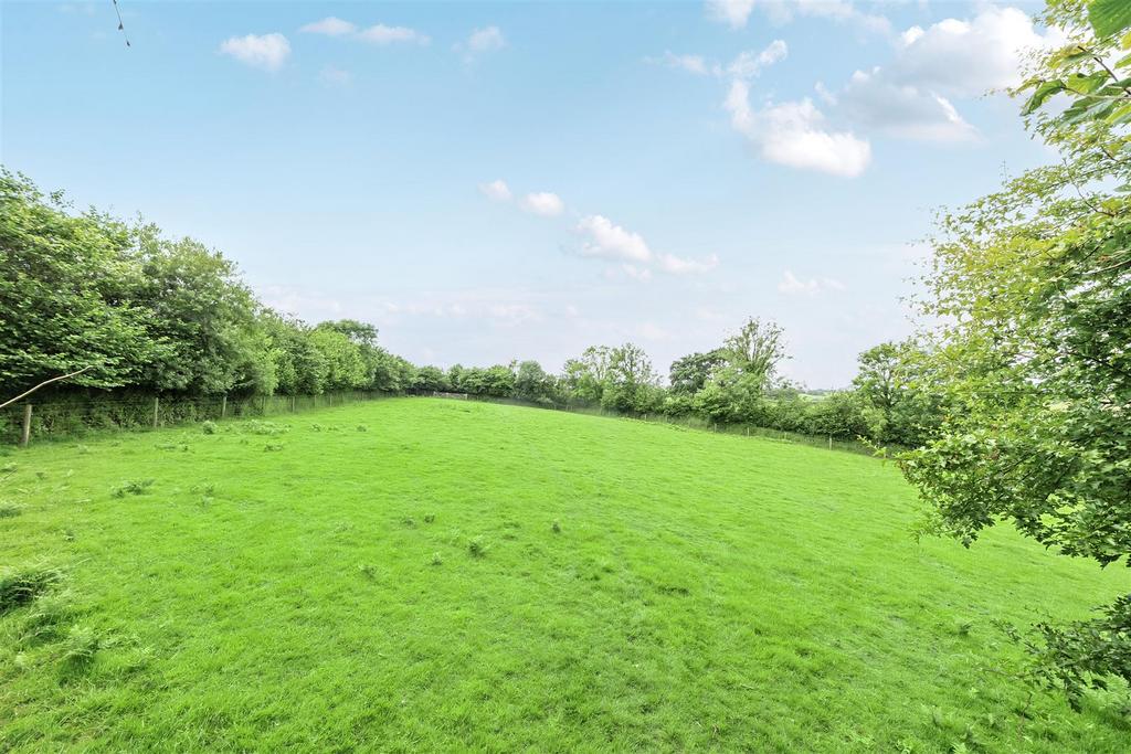 Side Field