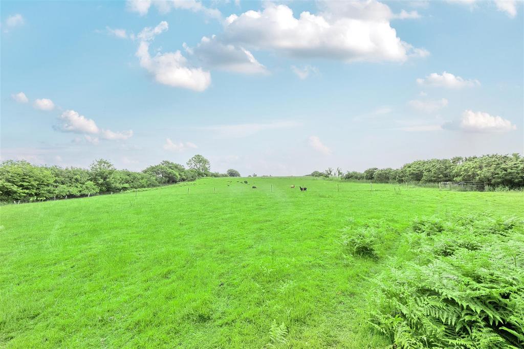 Upper Fields